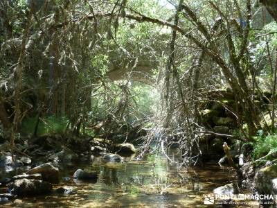 Entre el Puerto y Chorro de Navafría;senderismo en la pedriza senderismo por guadalajara circo gred